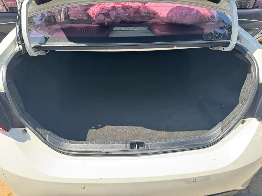 Ralink 2017 facelift 185T CVT Elite Edition National V купить на сайте DeffCars