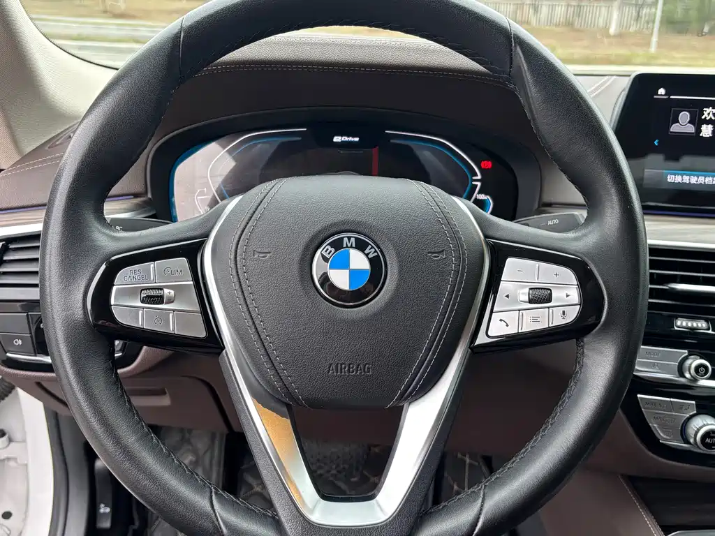 BMW 5 Series New Energy 2020 Mileage Upgraded Version 530Le Luxury Package купить на сайте DeffCars