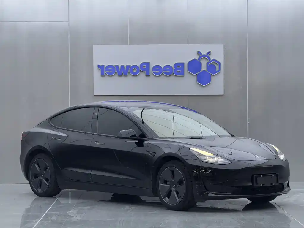 Model 3 2022 rear-wheel drive version купить на сайте DeffCars