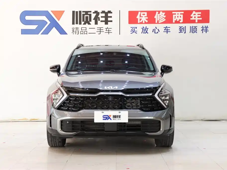 Lion Platinum Extension 2023 2.0T two-wheel drive premium version купить на сайте DeffCars