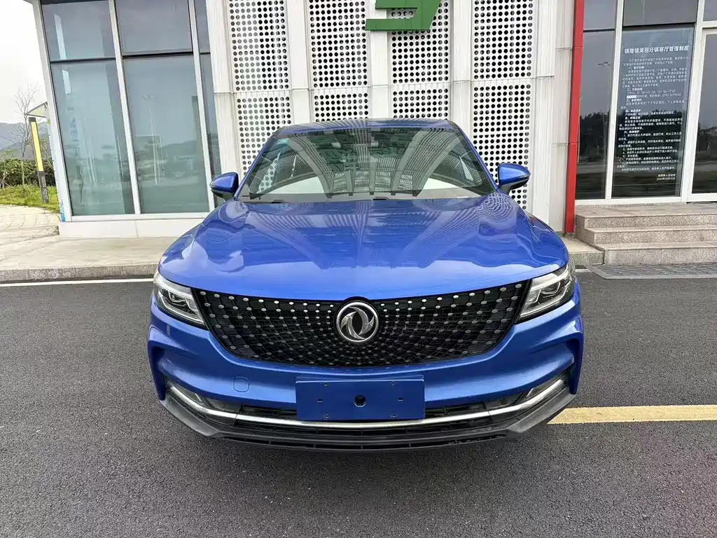 ix5 2019 Model 220T CVT Zhishang Country VI купить на сайте DeffCars