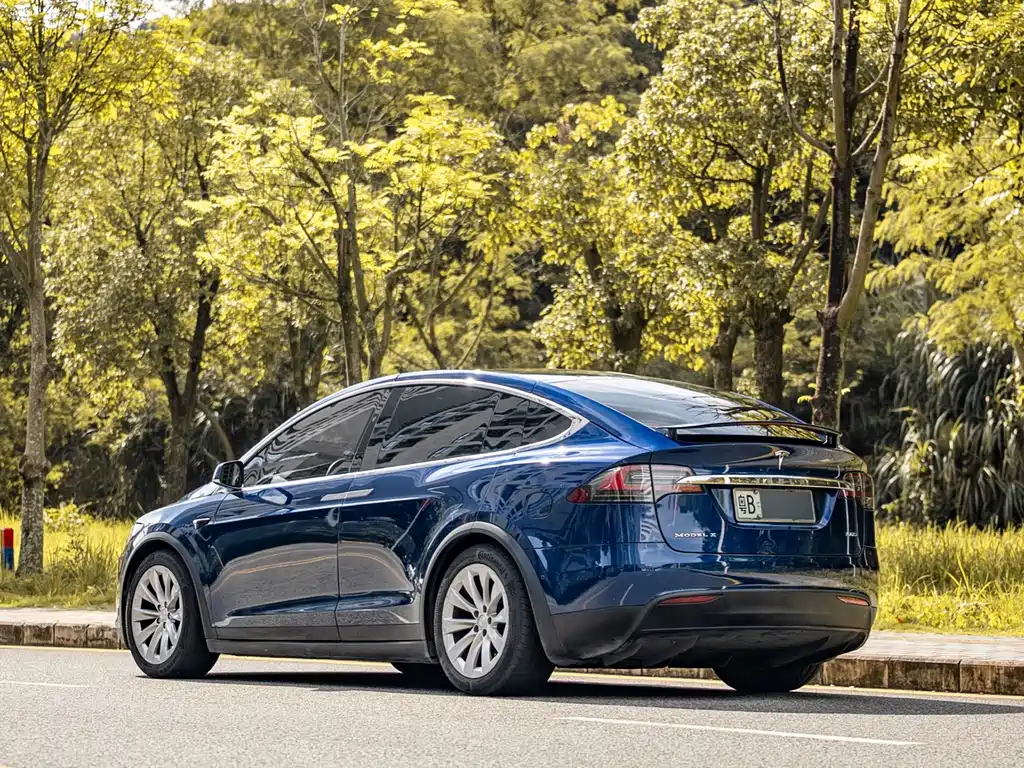 Model X 2017 Model X 100D Long Range Edition купить на сайте DeffCars