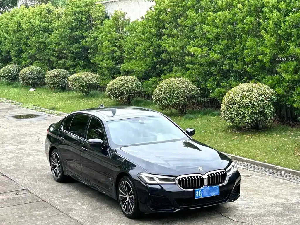 BMW 5 Series 2021 530Li Leading Luxury Package купить на сайте DeffCars