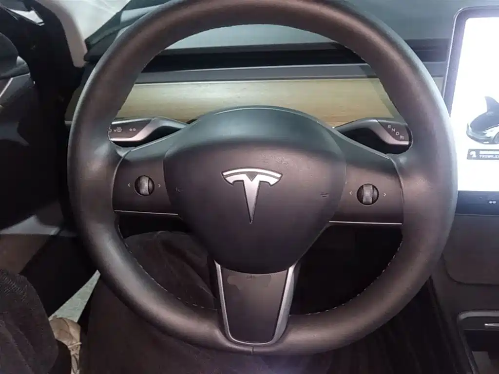 Model 3 2020 Standard Range Rear Drive Upgraded Version купить на сайте DeffCars