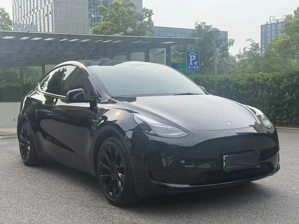 Model Y 2021 standard range rear-wheel drive version купить на сайте DeffCars