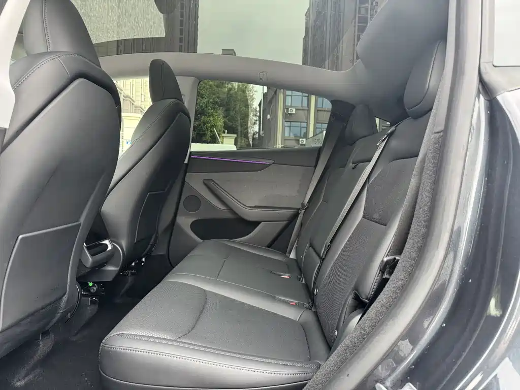 Model Y 2025 rear-wheel drive version купить на сайте DeffCars