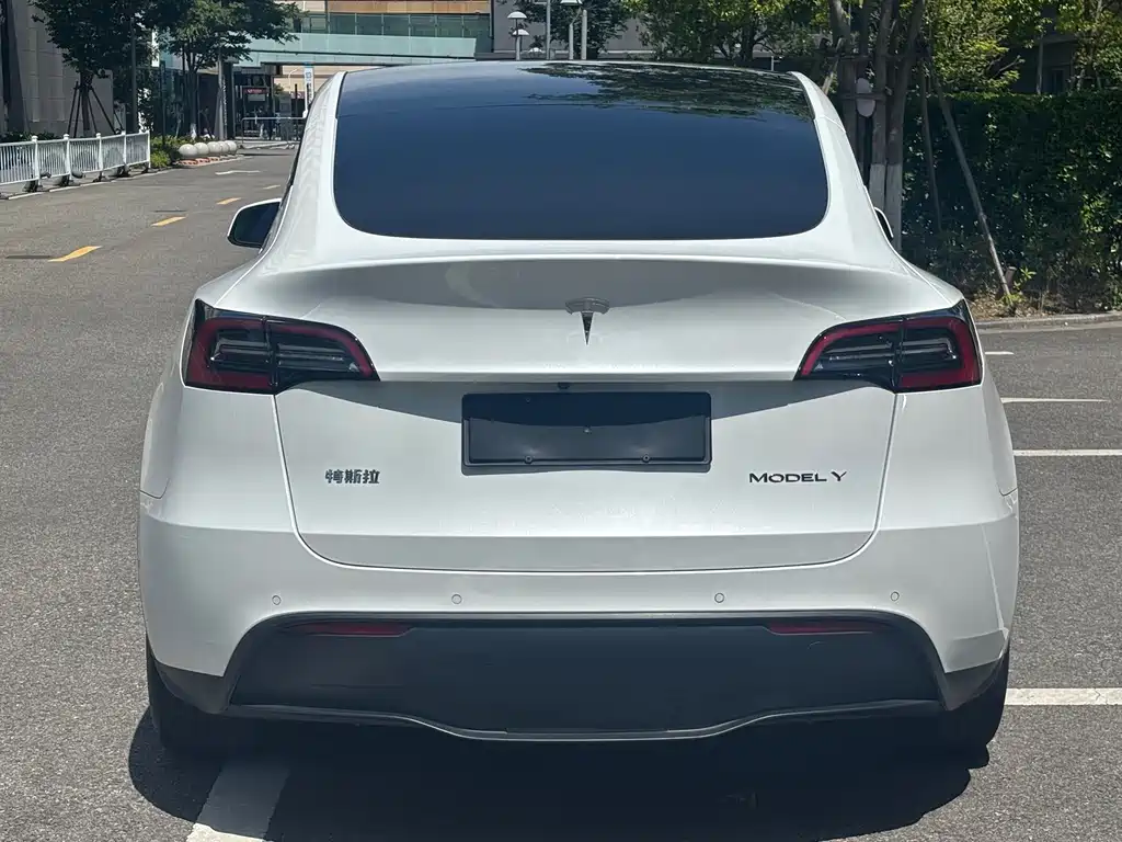 Model Y 2023 rear-wheel drive version купить на сайте DeffCars