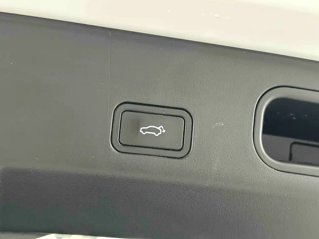Boyue L 2023 2.0TD DCT flagship model купить на сайте DeffCars