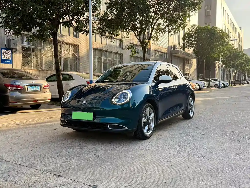 Euler Good Cat 2021 model 400km standard battery life Athena version ternary lithium купить на сайте DeffCars