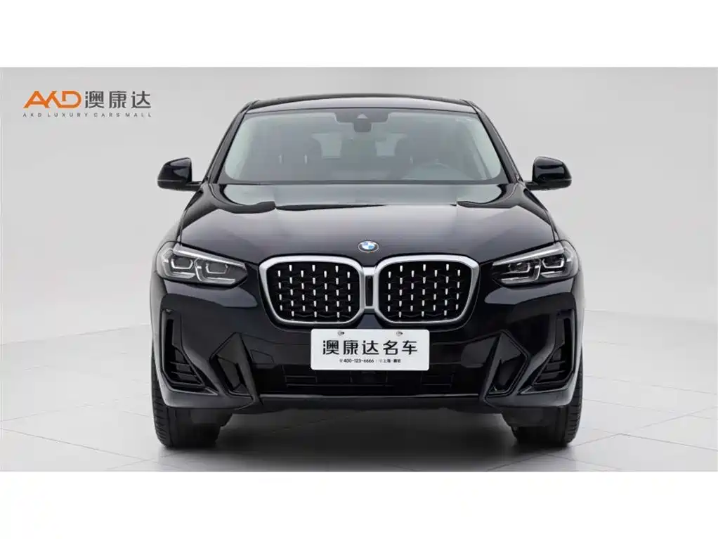 BMW X4/25i/2.0T/22/xDrive M Sports Package купить на сайте DeffCars