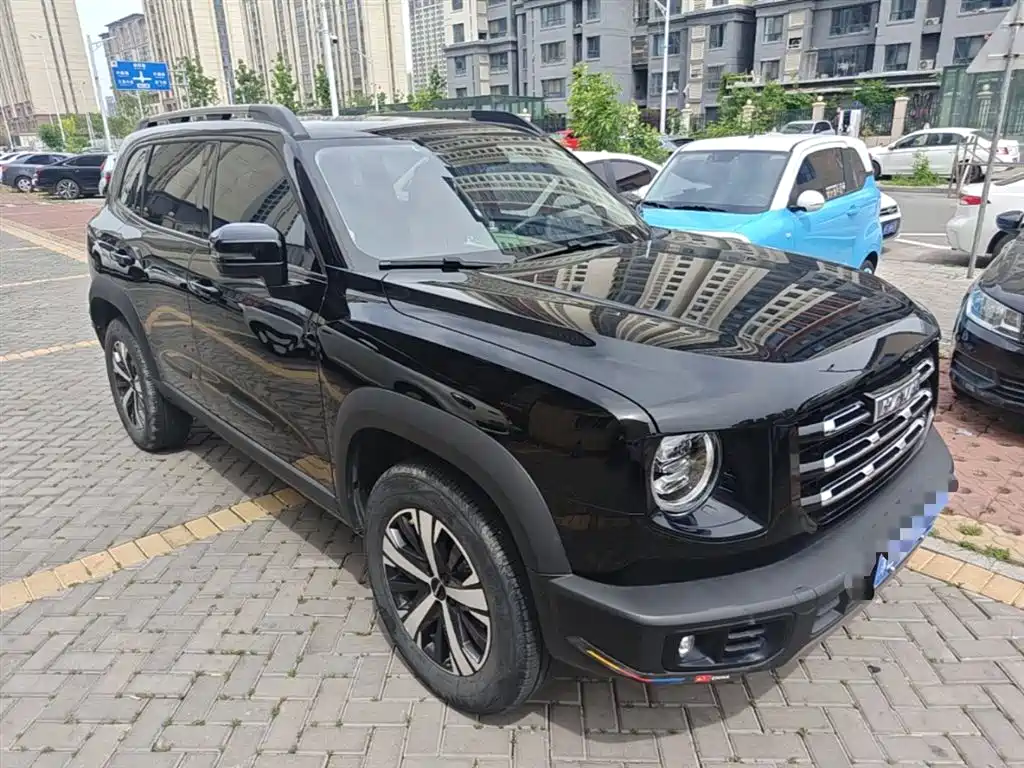Havaldog 2022 1.5T DCT two-wheel drive Labrador version купить на сайте DeffCars