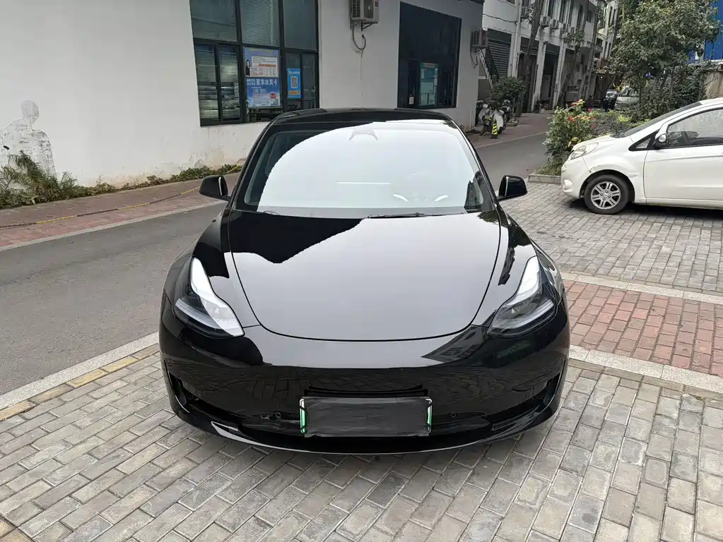 Model 3 2022 rear-wheel drive version купить на сайте DeffCars
