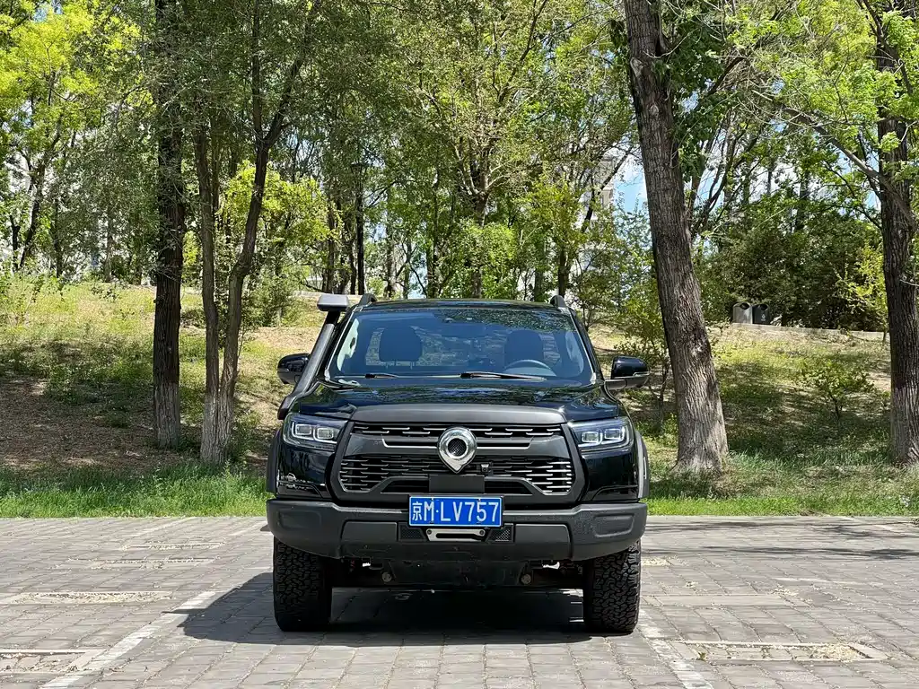 Cannon 2020 2.0T off-road version automatic gasoline four-wheel drive limited edition GW4C20B купить на сайте DeffCars