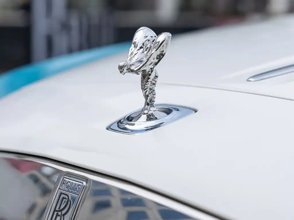 Yaoying 2018 6.6T standard model купить на сайте DeffCars