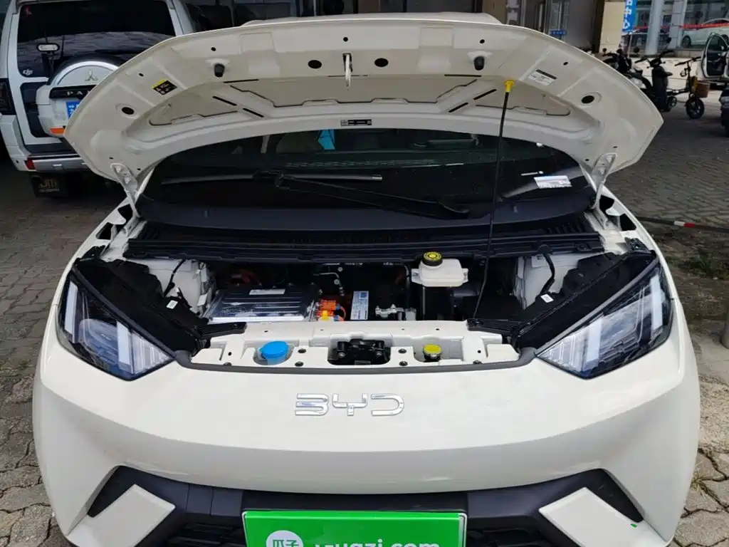 Seagull 2025 305km Free Edition купить на сайте DeffCars