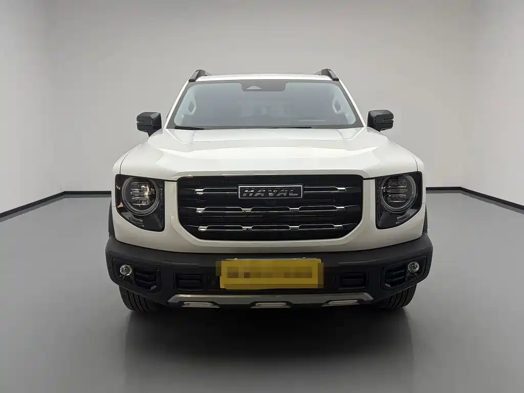 Haval Big Dog 2021 2.0T DCT four-wheel drive Chinese pastoral dog version купить на сайте DeffCars