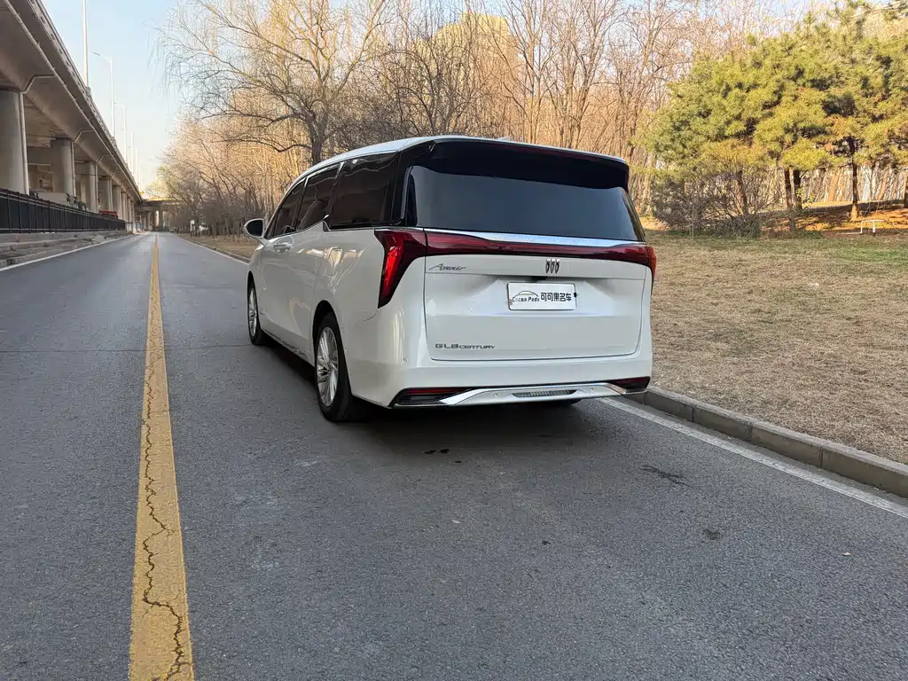 Century 2023 2.0T Six-seater Yuanshi Edition купить на сайте DeffCars