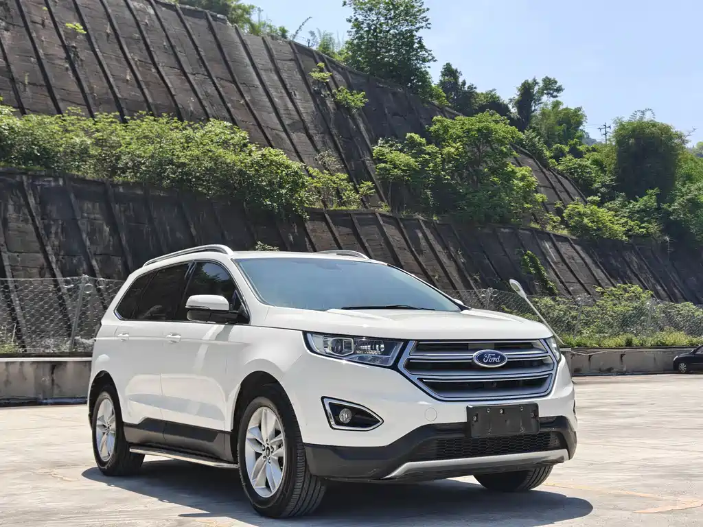 Ruijie 2017 EcoBoost 245 2WD Platinum 5-seater купить на сайте DeffCars
