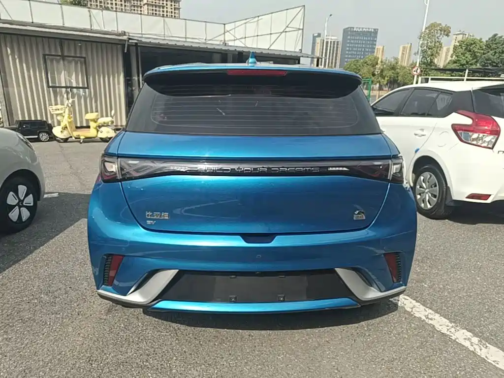 Dolphin 2021 405km fashion version купить на сайте DeffCars
