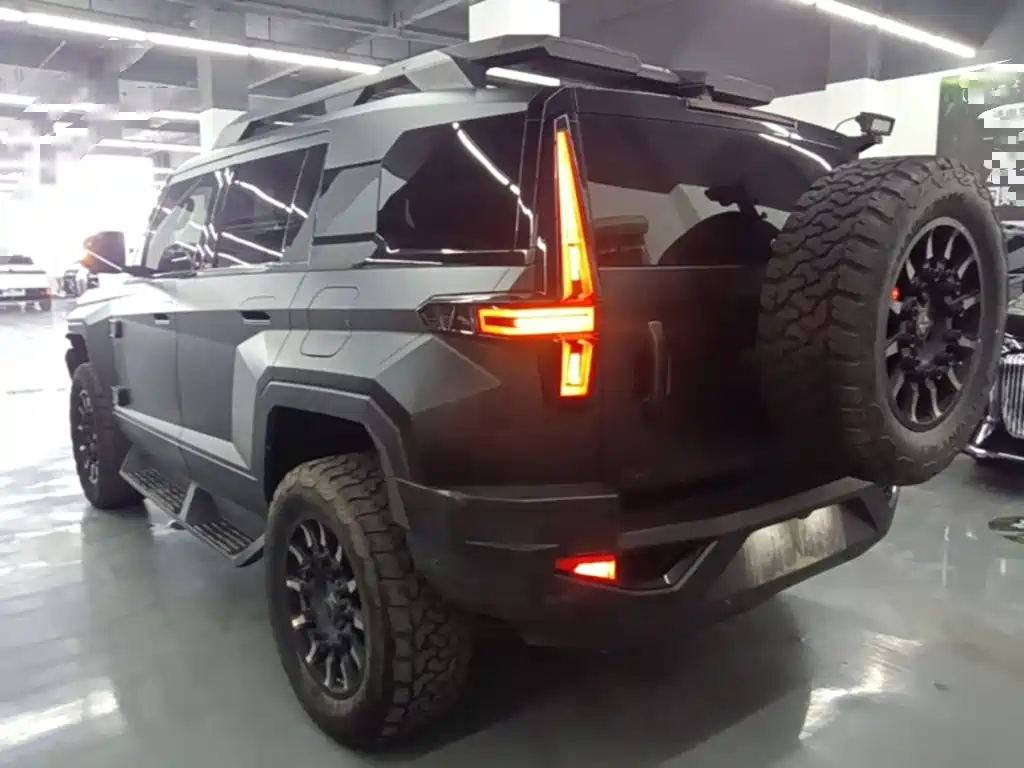 Warrior 917 2023 extended range basic version купить на сайте DeffCars