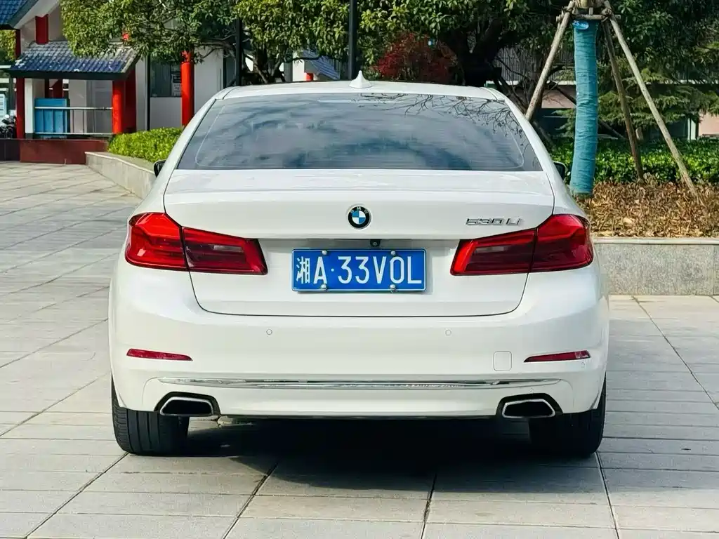 BMW 5 Series 2020 530Li Exclusive Luxury Package купить на сайте DeffCars