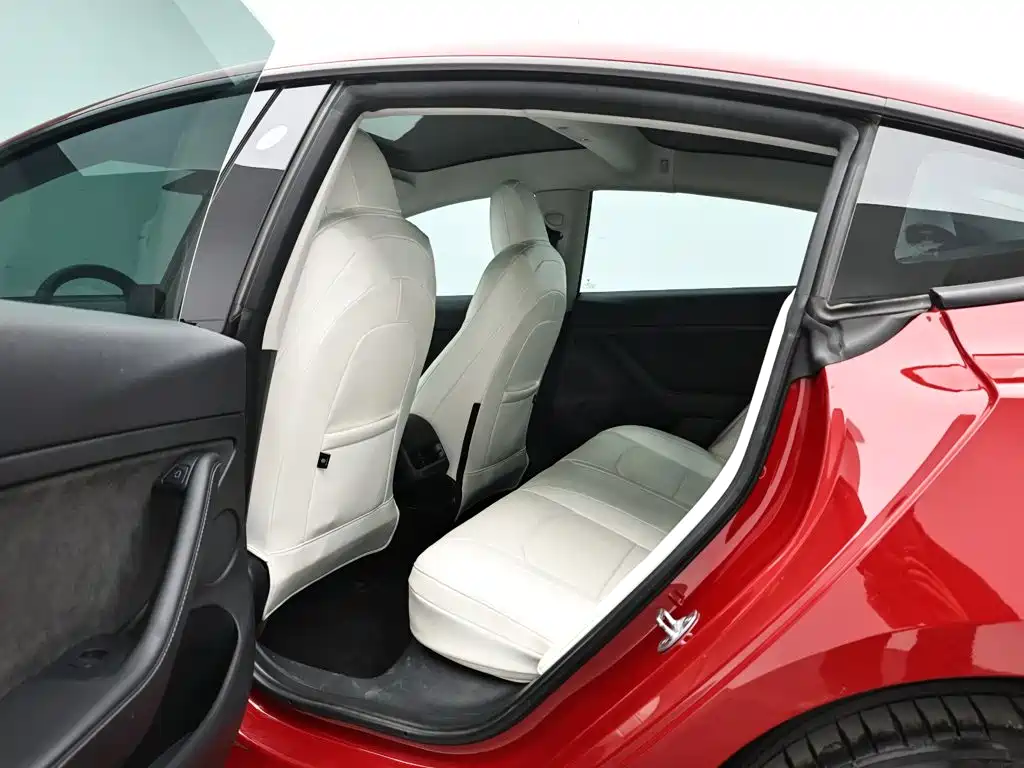 Model 3 2022 rear-wheel drive version купить на сайте DeffCars