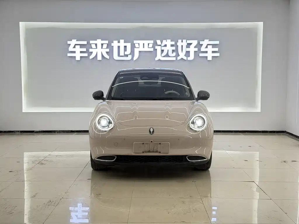 Euler Good Cat 2021 Model 400km Standard Range Athena Edition Lithium Iron Phosphate купить на сайте DeffCars