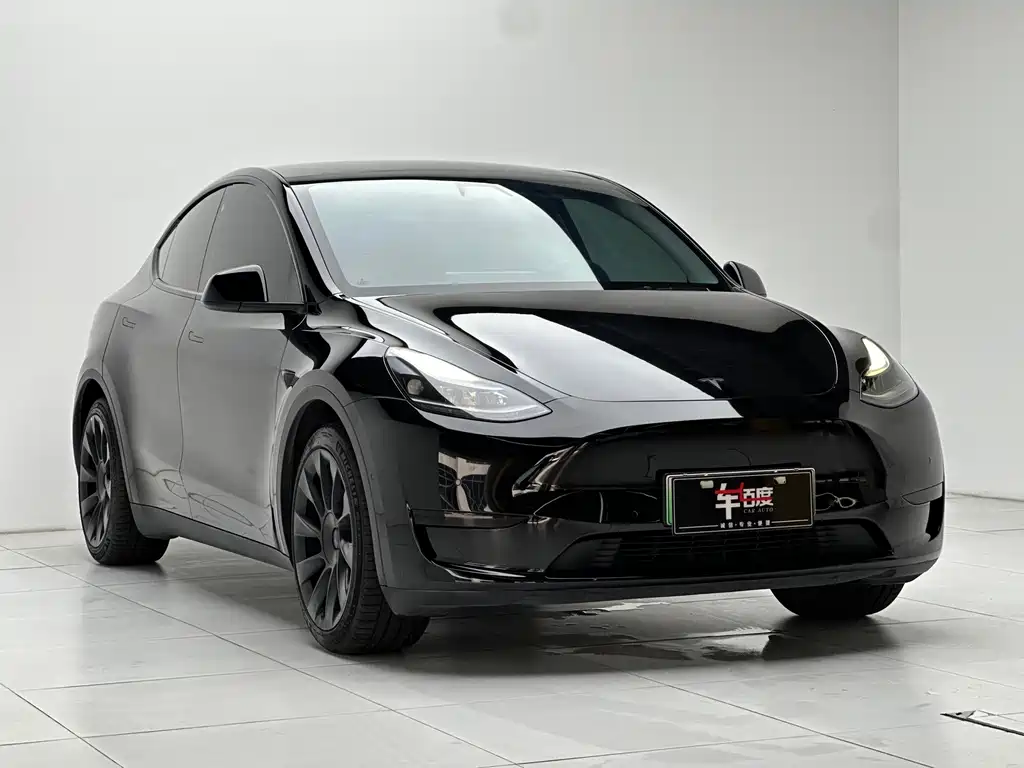 Model Y 2022 rear-wheel drive version купить на сайте DeffCars