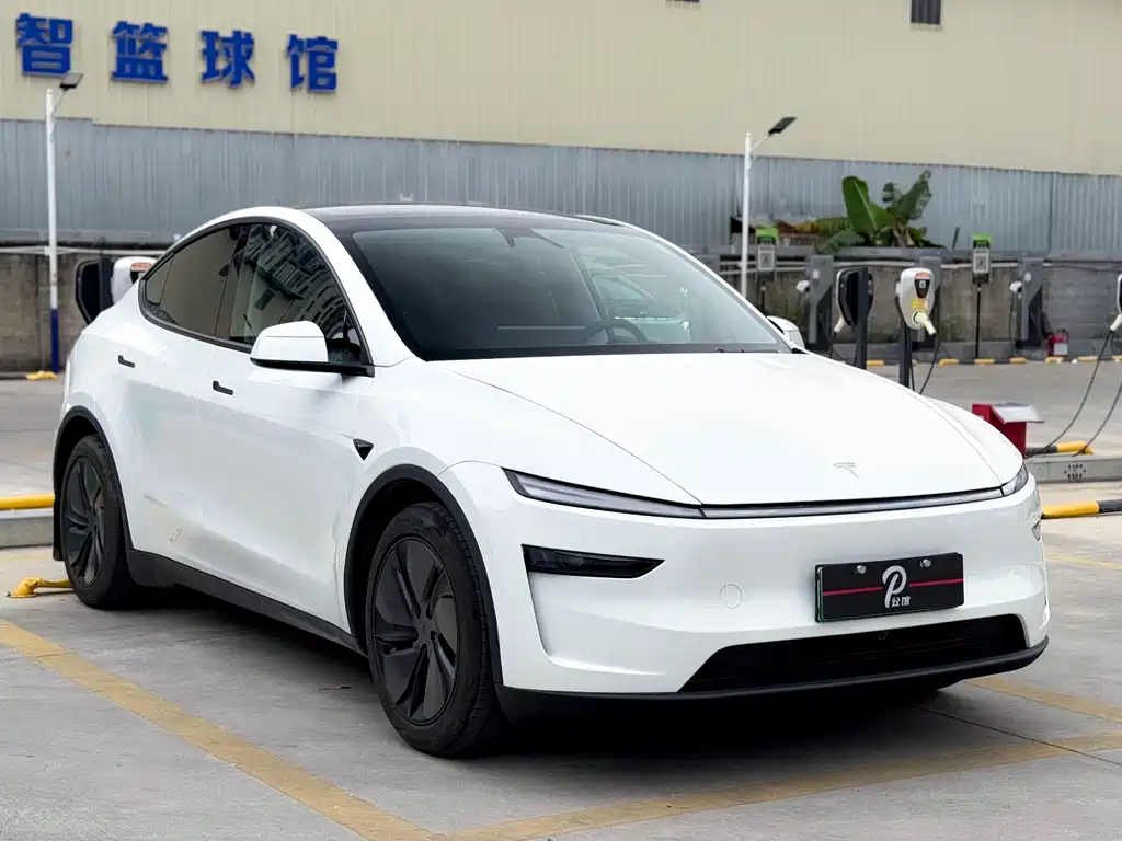 Model Y 2025 rear-wheel drive version купить на сайте DeffCars