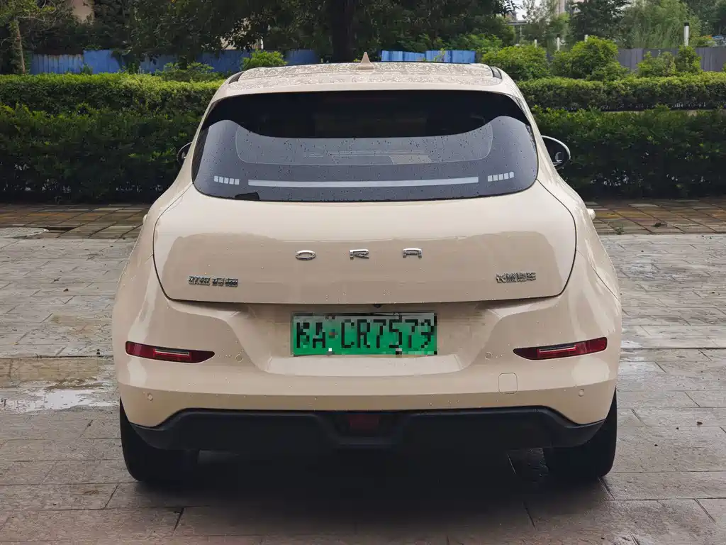 Euler Good Cat 2022 model 400km standard battery life luxury model lithium iron phosphate купить на сайте DeffCars