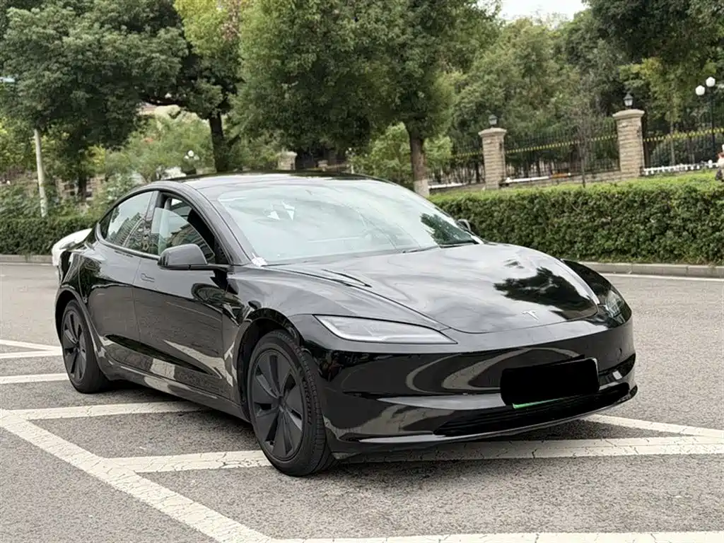 Model 3 2023 rear-wheel drive version купить на сайте DeffCars