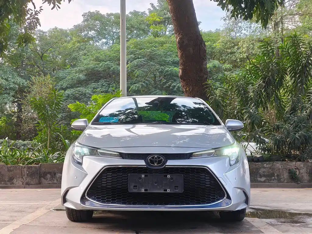 Ralink 2019 185T CVT Exclusive Edition National V купить на сайте DeffCars