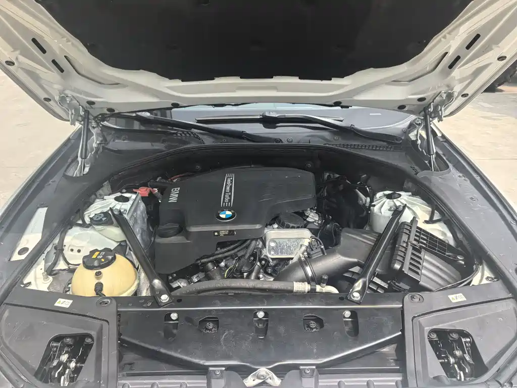BMW 5 Series 2017 520Li Elegant купить на сайте DeffCars