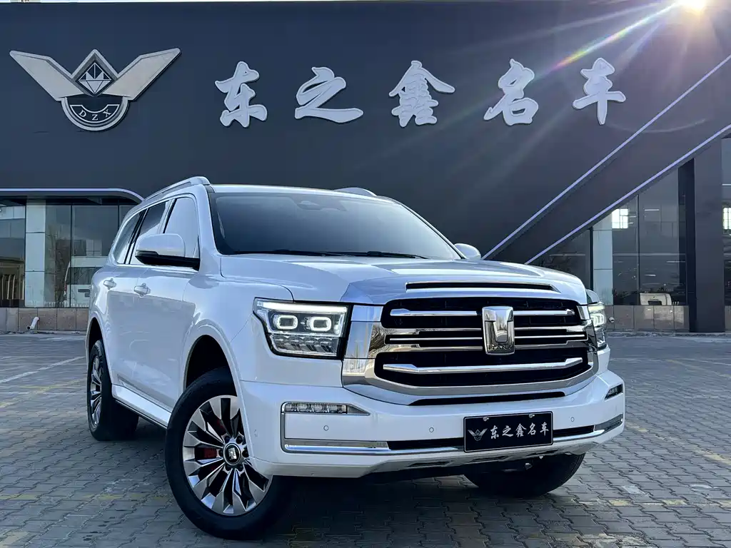 Tank 500 2022 model 3.0T sports version, environment type, 5 seats купить на сайте DeffCars