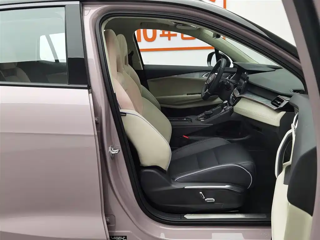 Lynk & Co 06 2021 1.5T Shero Pink Special Edition купить на сайте DeffCars