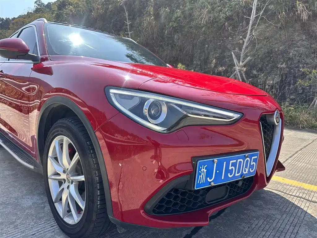 Stelvio 2017 2.0T 200HP Deluxe Edition купить на сайте DeffCars