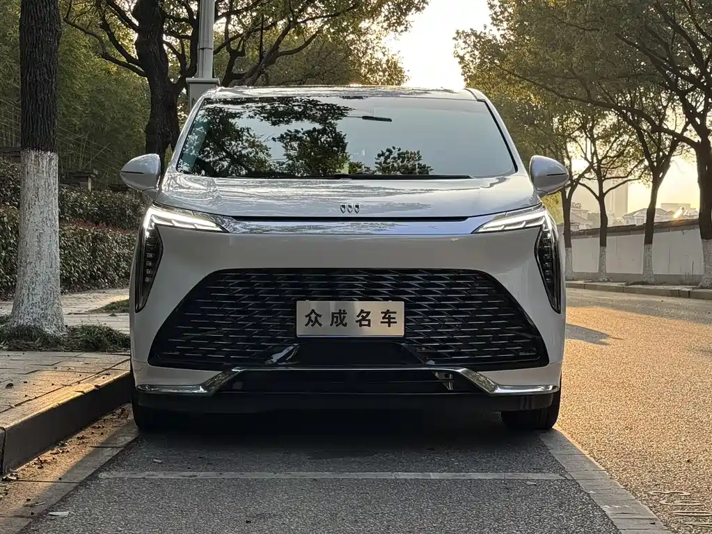 Century 2023 2.0T Six-seater Yuanshi Edition купить на сайте DeffCars