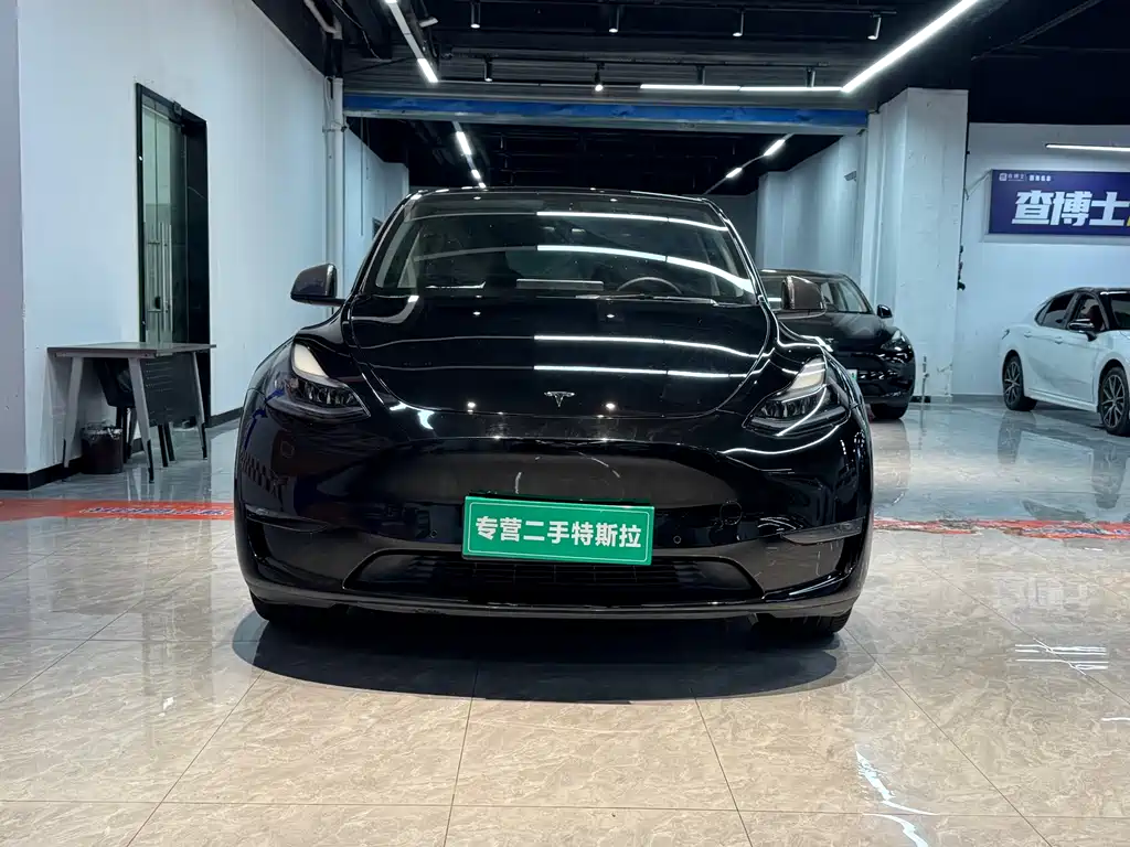 Model Y 2021 standard range rear-wheel drive version купить на сайте DeffCars
