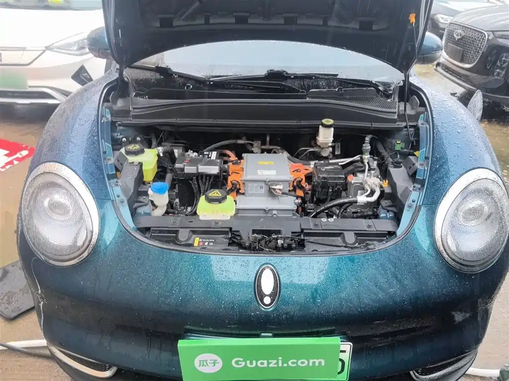 Euler Good Cat 2023 model 401km standard battery life luxury model lithium iron phosphate купить на сайте DeffCars