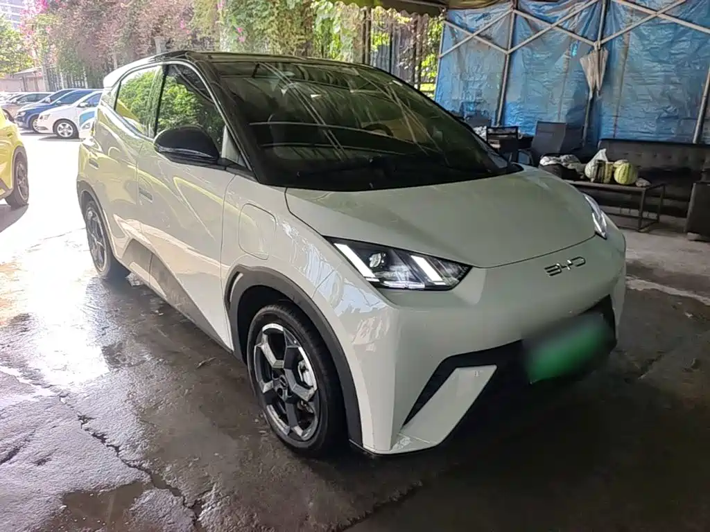 Seagull 2023 Free Edition купить на сайте DeffCars