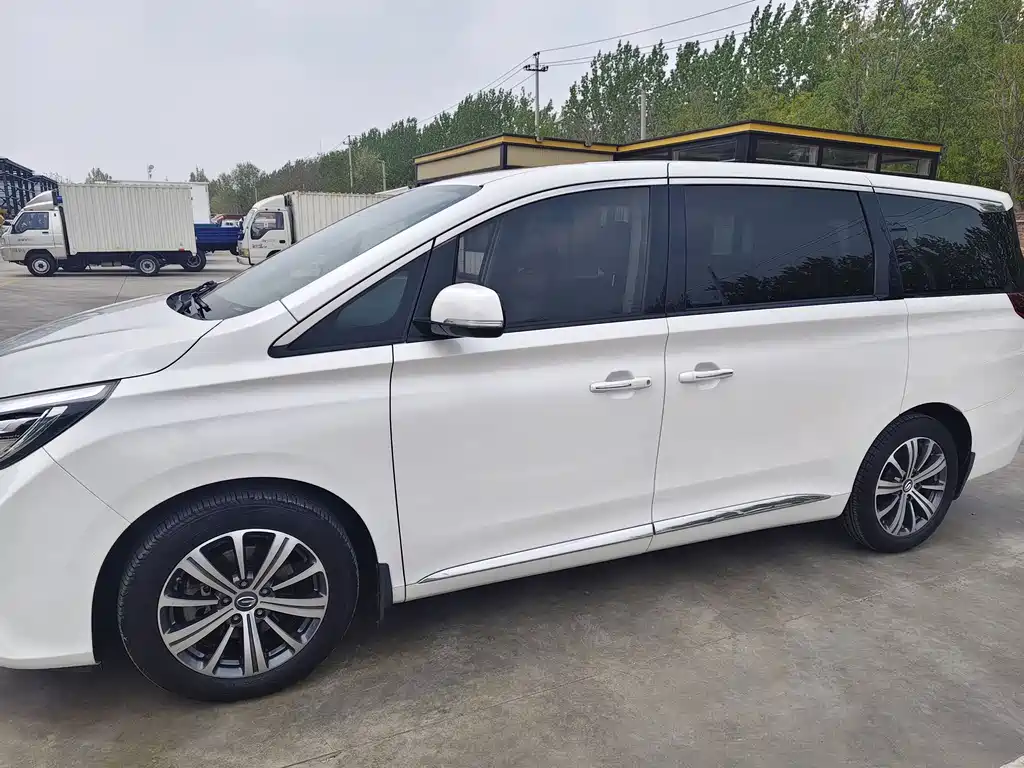 Trumpchi M8 2018 320T Premium Edition купить на сайте DeffCars