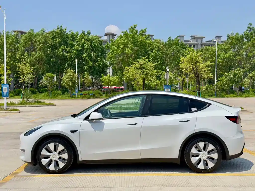 Model Y 2021 standard range rear-wheel drive version купить на сайте DeffCars