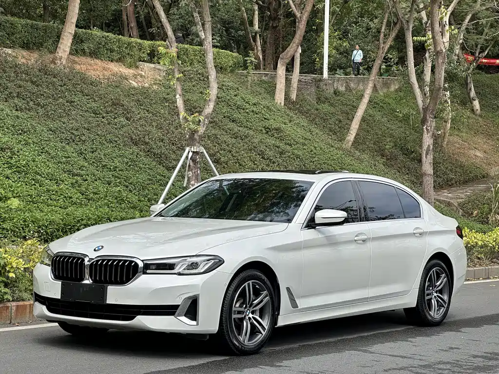 BMW 5 Series 2021 530Li Leading Luxury Package купить на сайте DeffCars