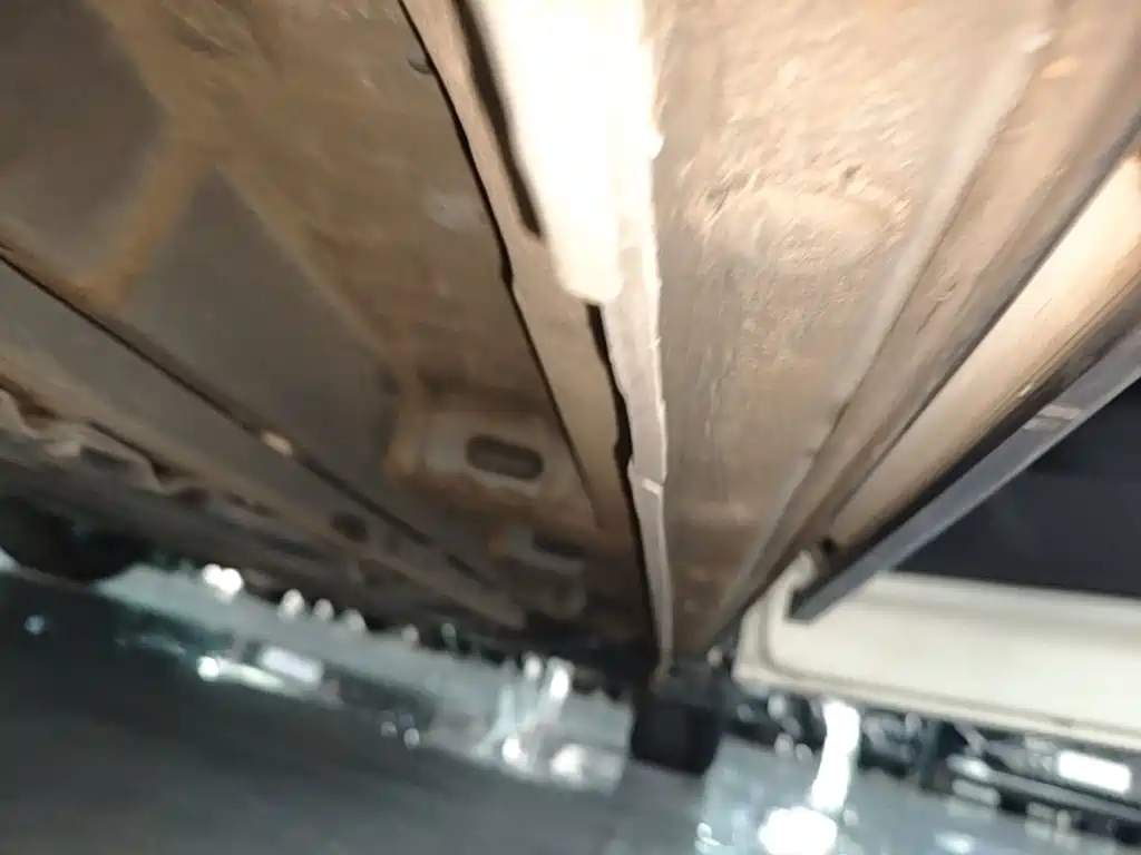Seagull 2024 Honor Edition 305km Free купить на сайте DeffCars