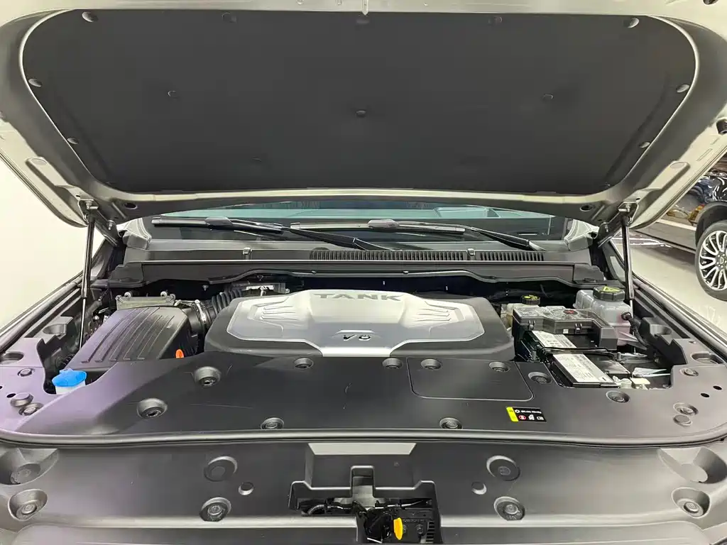 Tank 500 2023 model 3.0T business version environment type 5 seats купить на сайте DeffCars