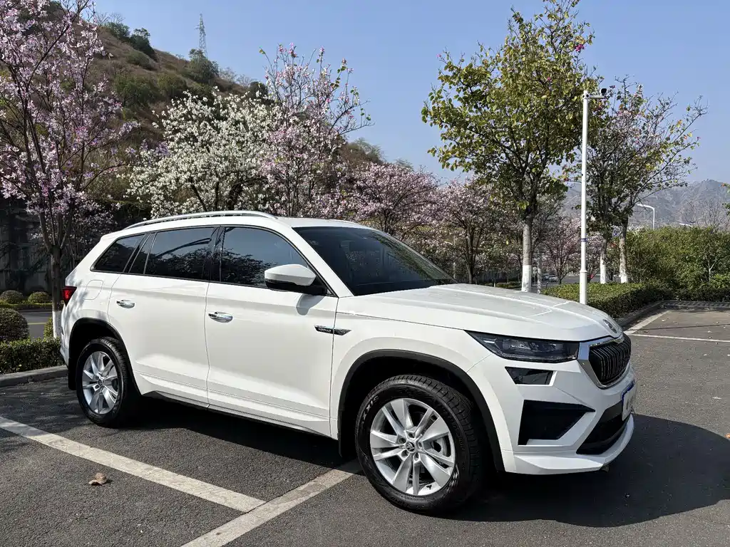 Kodiak 2025 TSI330 5-seater two-wheel drive powerful version купить на сайте DeffCars