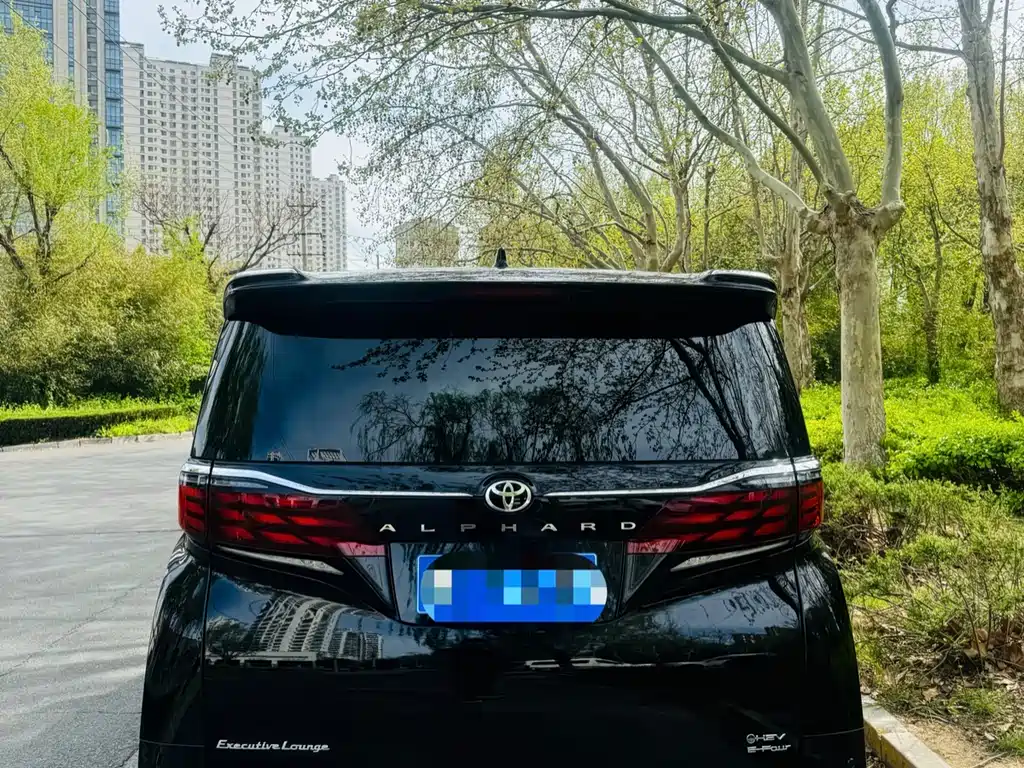 Alfa 2025 Shuangqing 2.5L Premium Gold Edition купить на сайте DeffCars