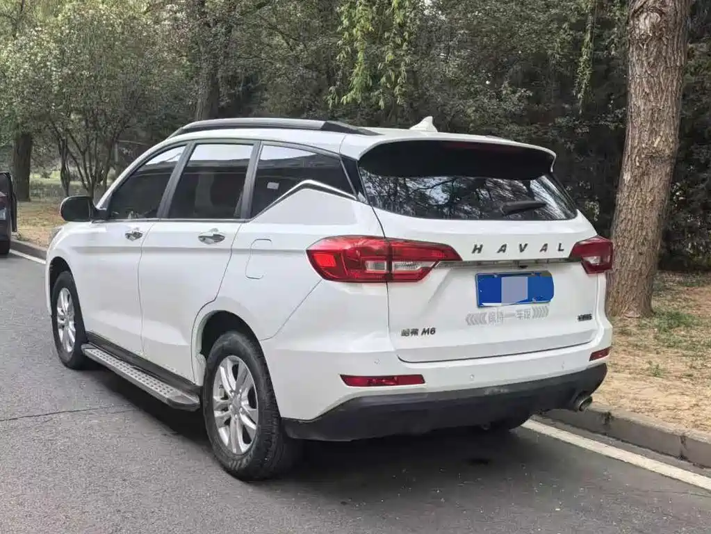 Haval M6 2019 1.5T manual two-wheel drive elite model National V купить на сайте DeffCars
