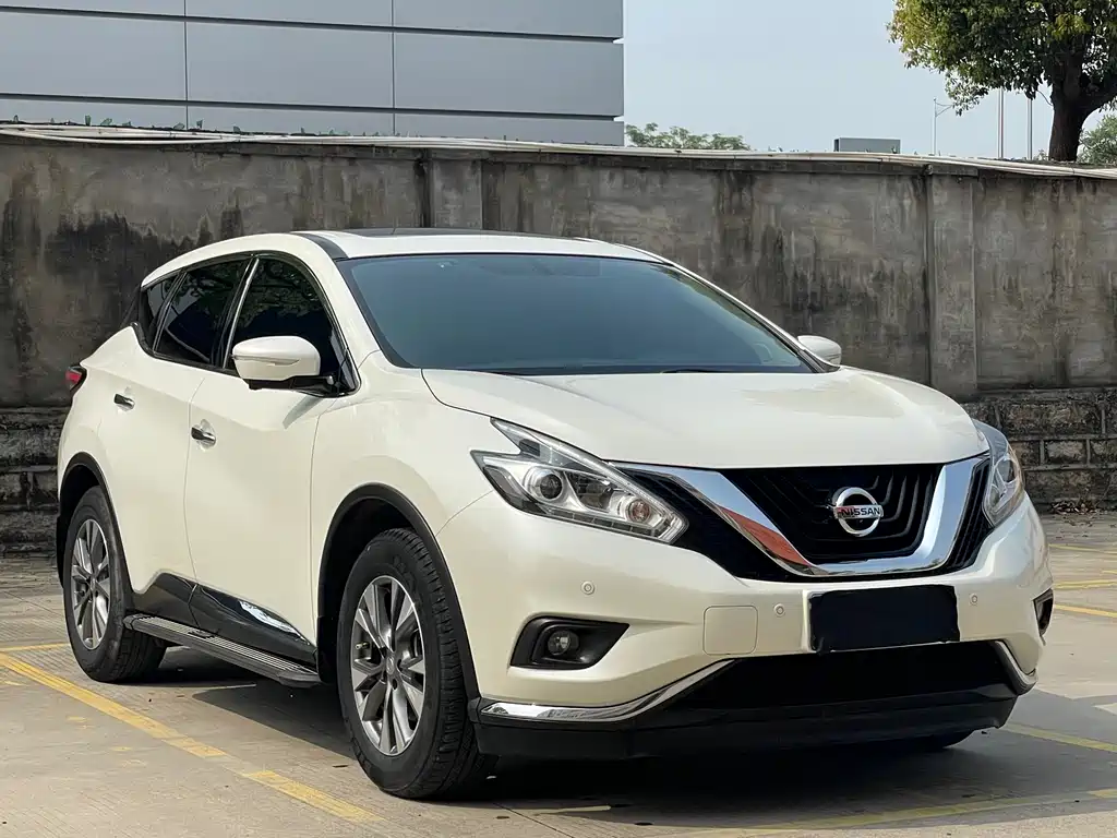 Loulan 2019 2.5L XL 2WD Intelligent Luxury Edition National V купить на сайте DeffCars