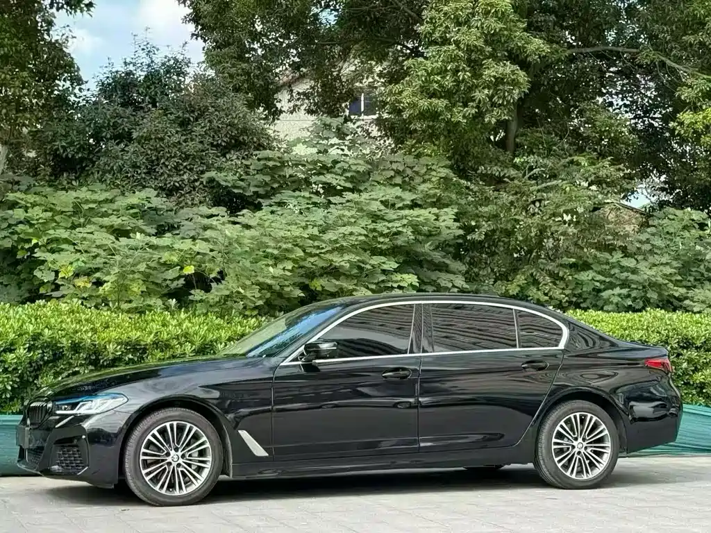 BMW 5 Series 2019款 530Li 尊享型 豪华套装 купить на сайте DeffCars